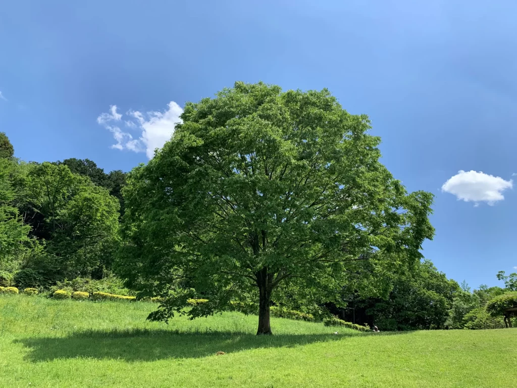 ゴールデンウィーク期間中の外来診療について